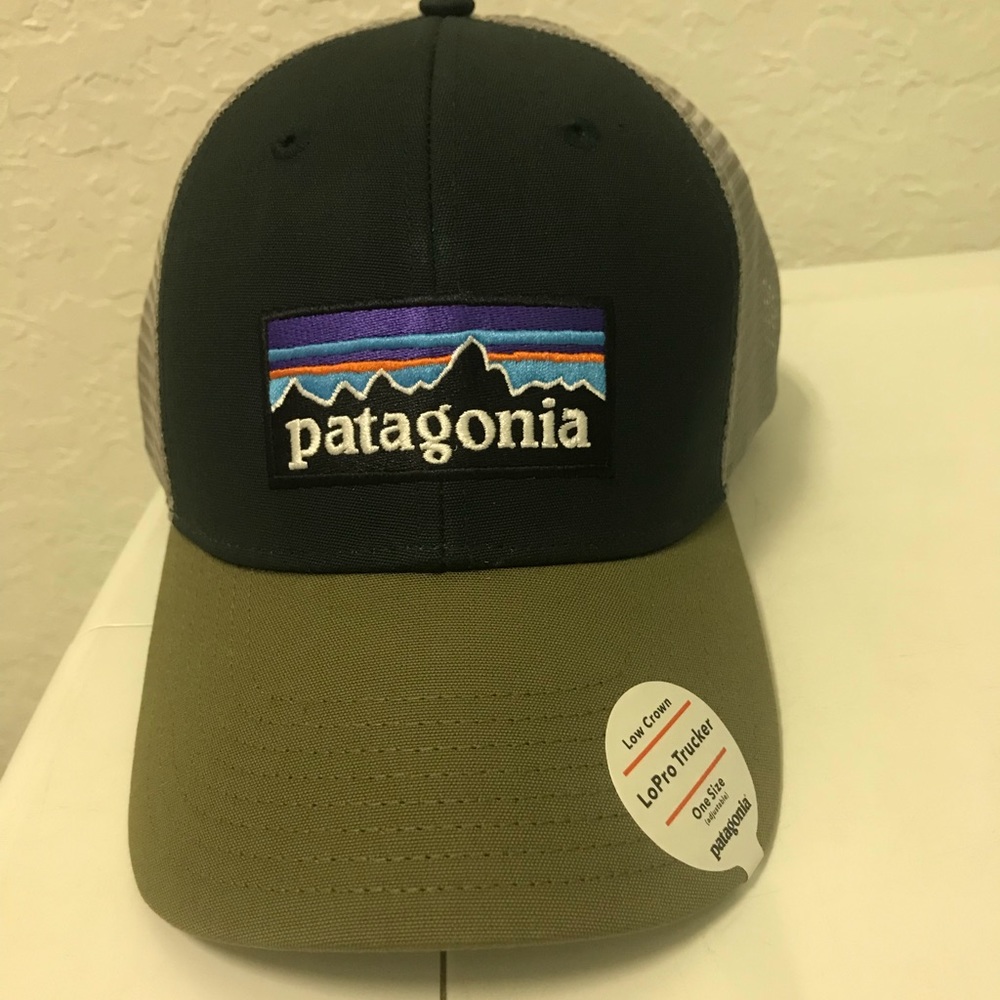 Patagonia Trucker hat